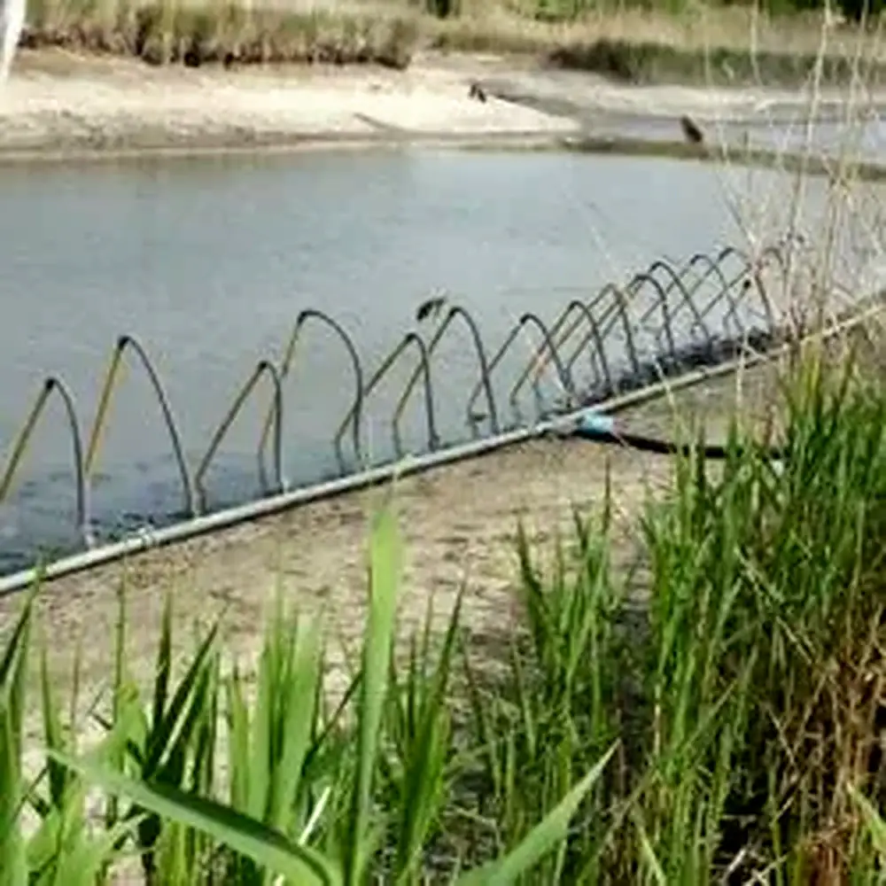 Igłofiltry nad zbiornikiem wodnym